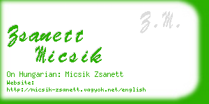 zsanett micsik business card